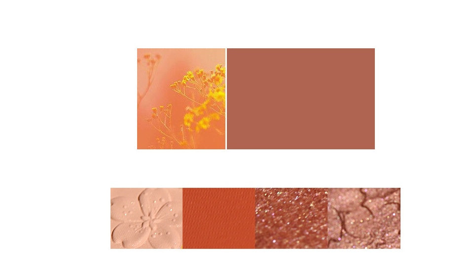 Paleta de sombras de ojos NOVO.