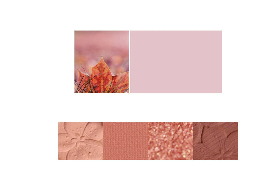 Paleta de sombras de ojos NOVO.