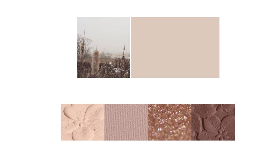 Paleta de sombras de ojos NOVO.